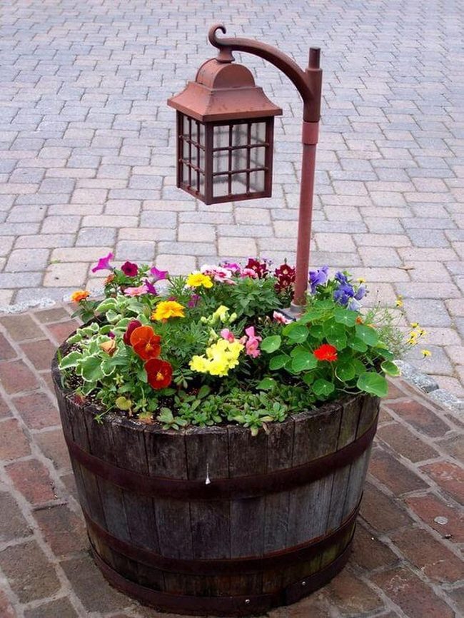 Blooming Wood With Evening Lantern