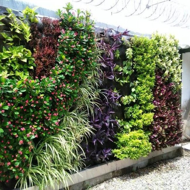 Living Wall Green Screen