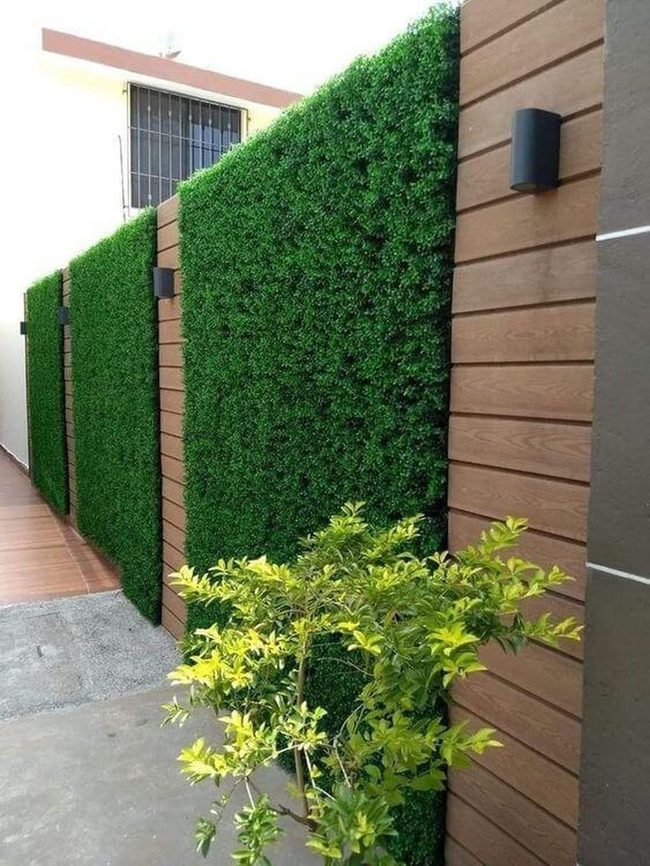 Green Walls, Wood Panels, Pure Privacy