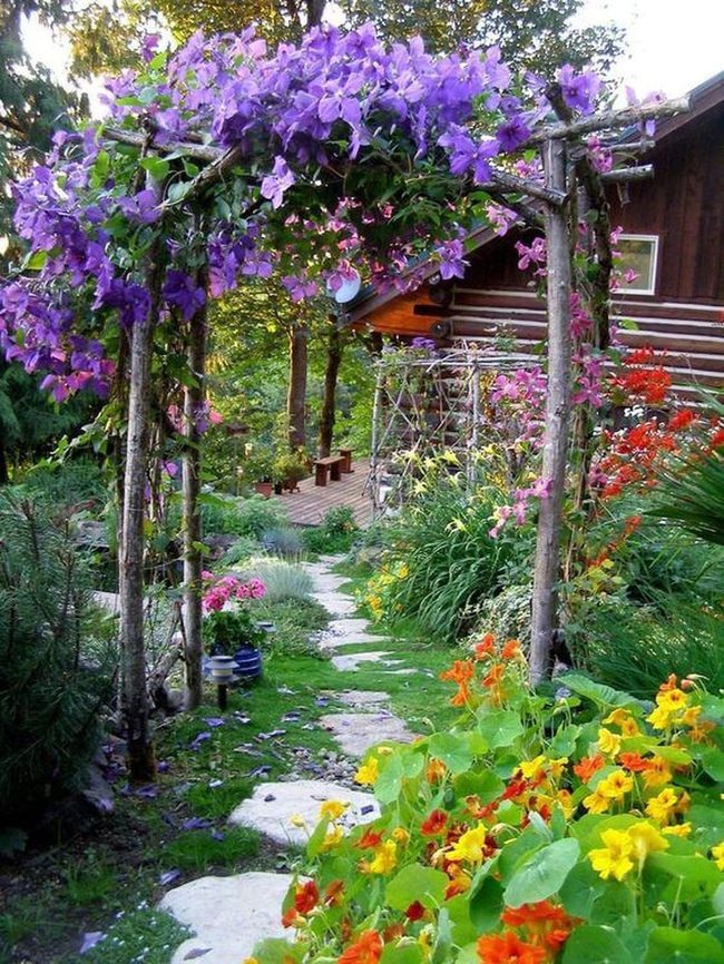 Purple Orange Bougainvillea Garden