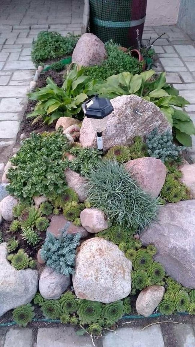 Layered Textures Stone And Succulents