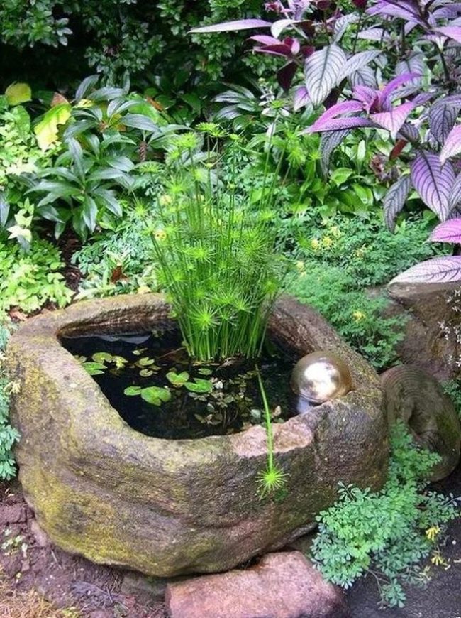 Silver Spheres Among Lily Pads