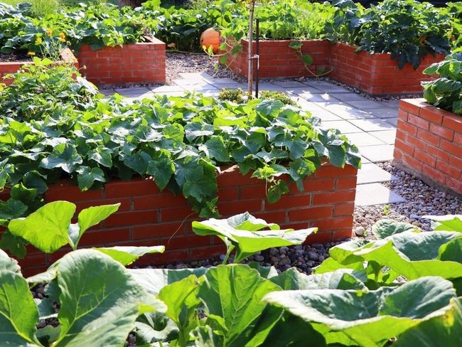 Double-Layered Brick Garden Beds
