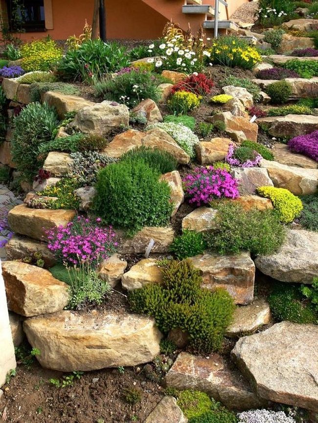 Cascading Blooms On Stacked Stone