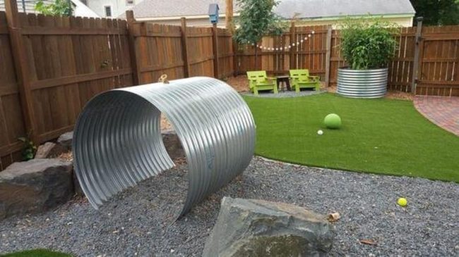 Textured Dog Yard With String Lights