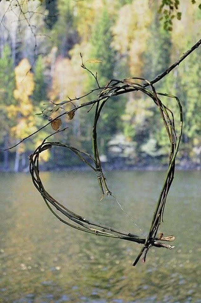 Natural Twig Heart Wall Art