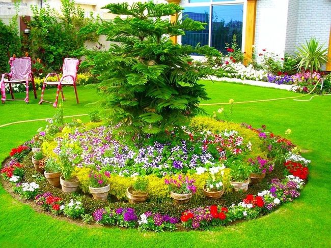 Pink Petunias Garden Oasis