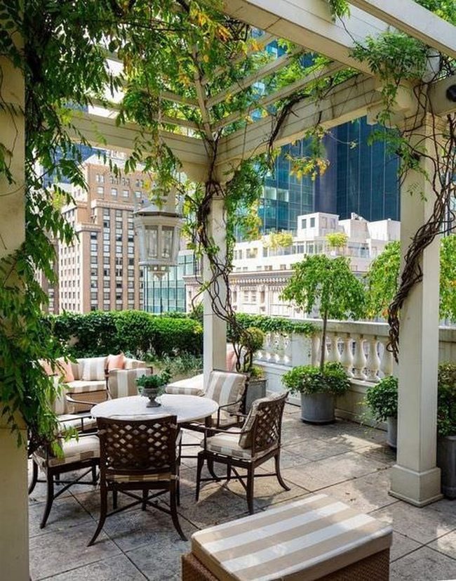Climbing Plants Wrap Wooden Beams
