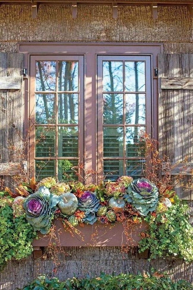 Colorful Flowers, Wooden Window Boxes
