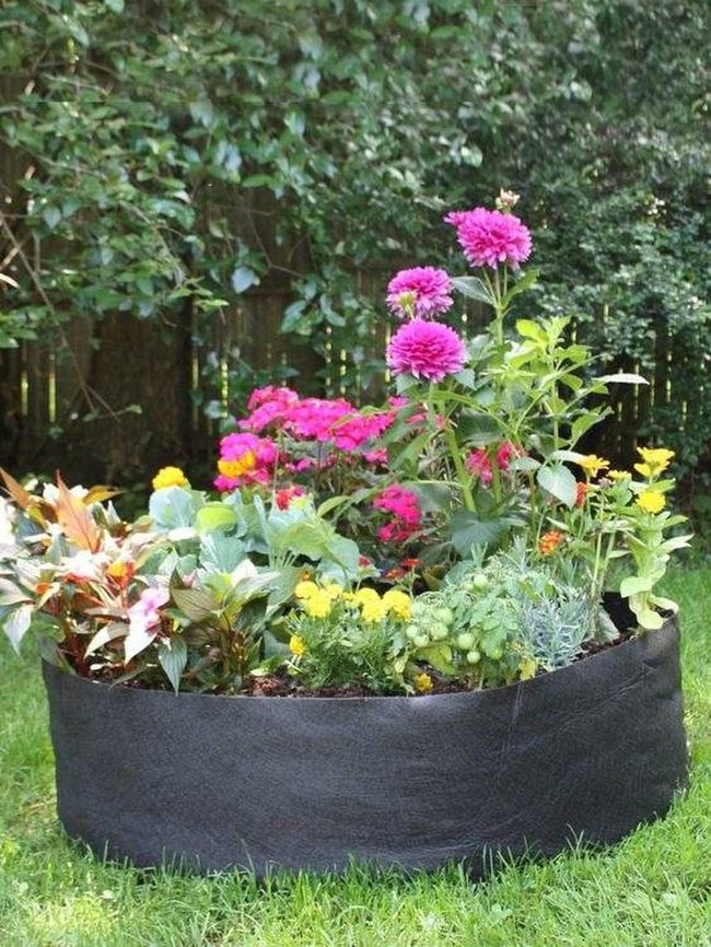 Bright Flowers With Functional Herbs