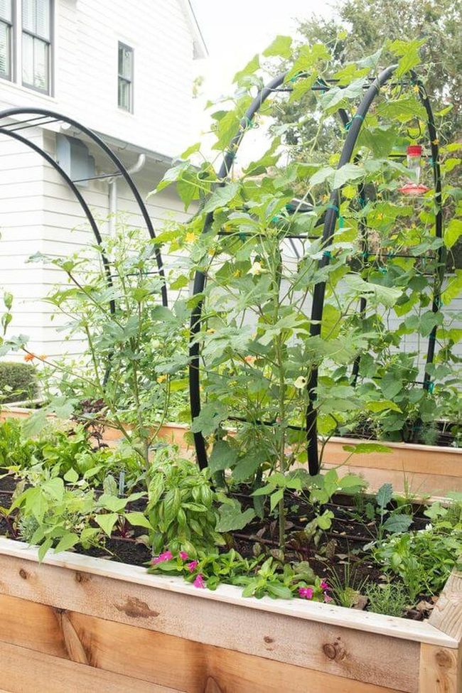 Vertical Vegetable Garden Abundance