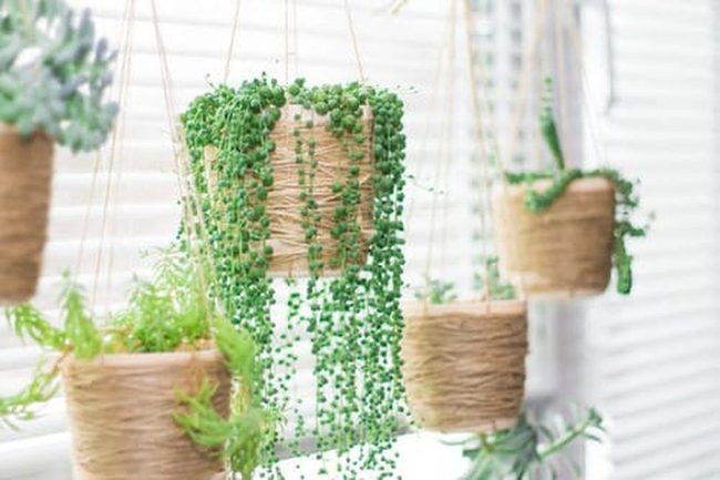 Cascading Green Pearl Strands