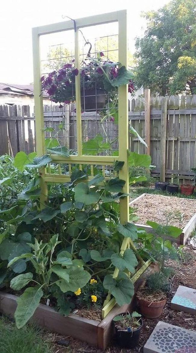 Flower-Draped Trellis Garden Beds