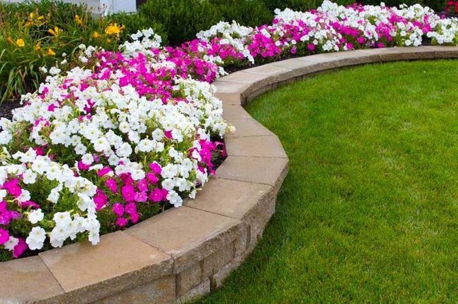 Pink Petunias Stone Garden Bed