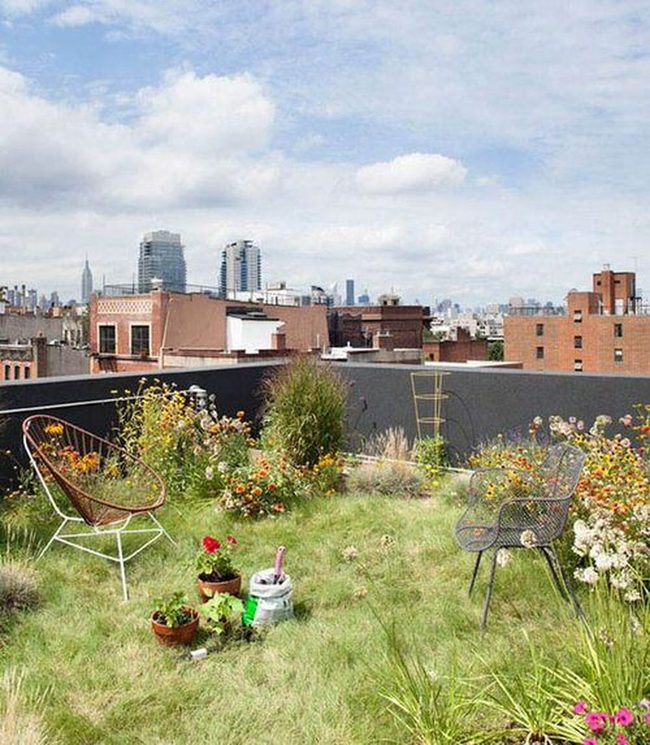 Green Rooftop Urban Oasis