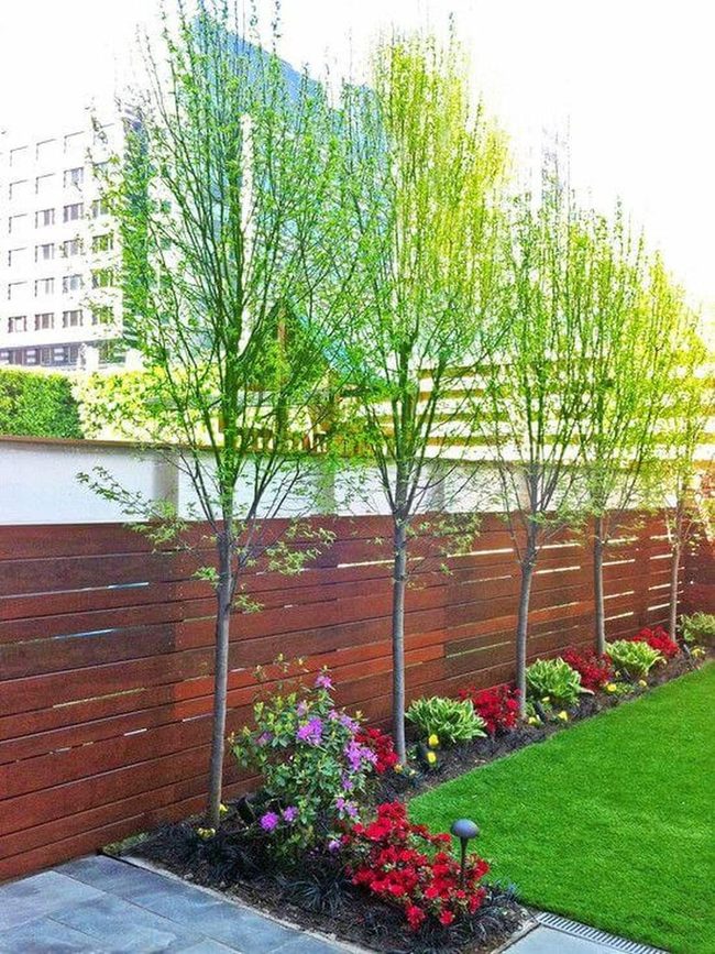 Vertical Trees With Colorful Flower Beds