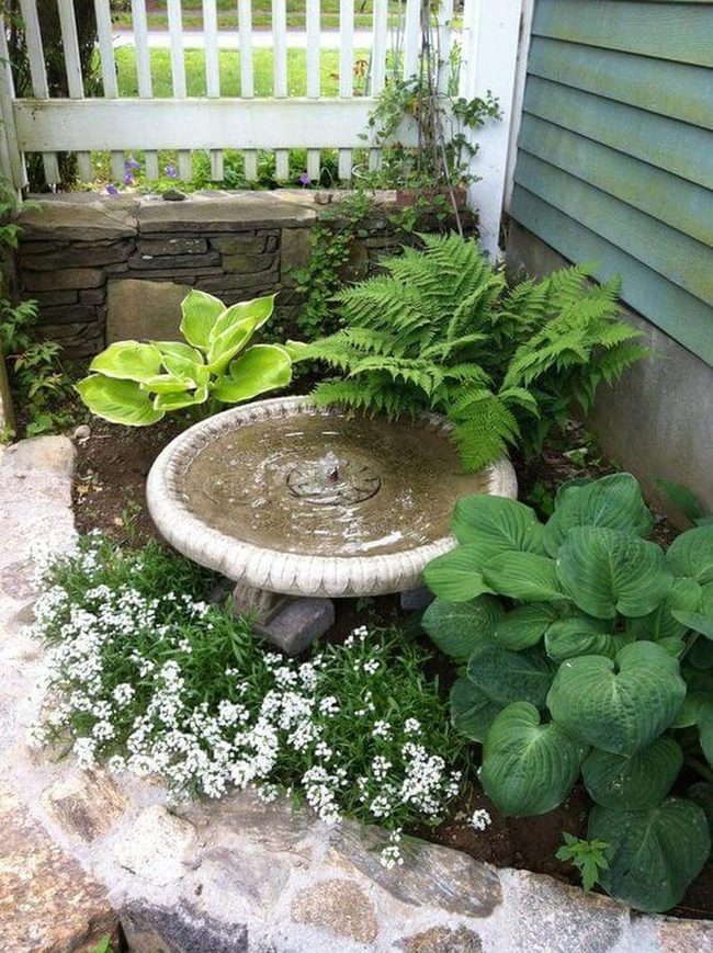 Stone Fountain Garden Green Escape