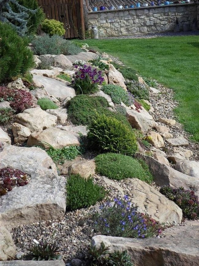 Purple Flowers Between Gray Stones
