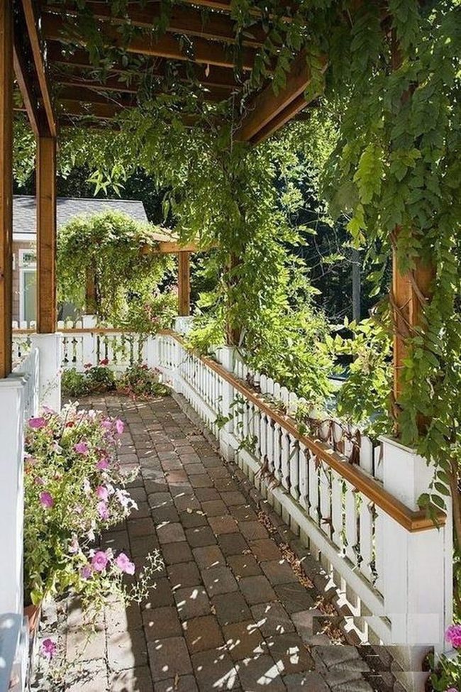 Green Vines Frame Living Porches