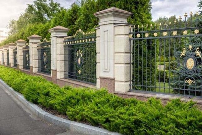 Evergreen Shrubs For Year-Round Green