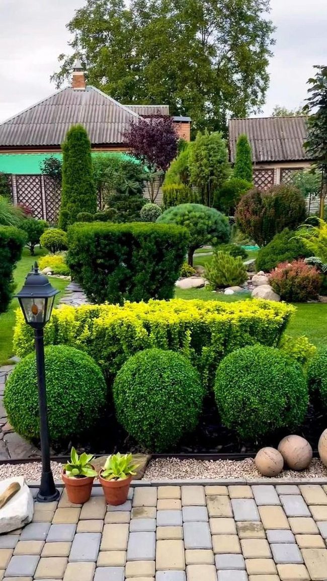 Manicured Green Pathways Through Stone