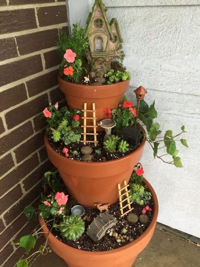 Miniature Ladders Among Lush Succulents