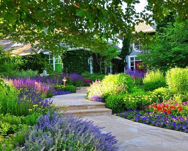 Layered Perennial Entry Garden