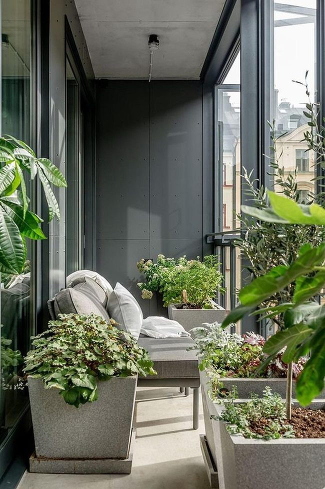 Green Plants Frame City Views