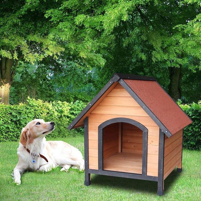 Outdoor Sanctuary For Your Pup