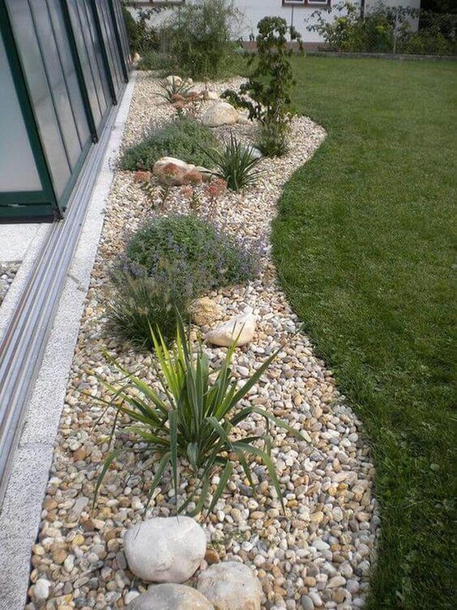 Pebble Path Succulents Garden