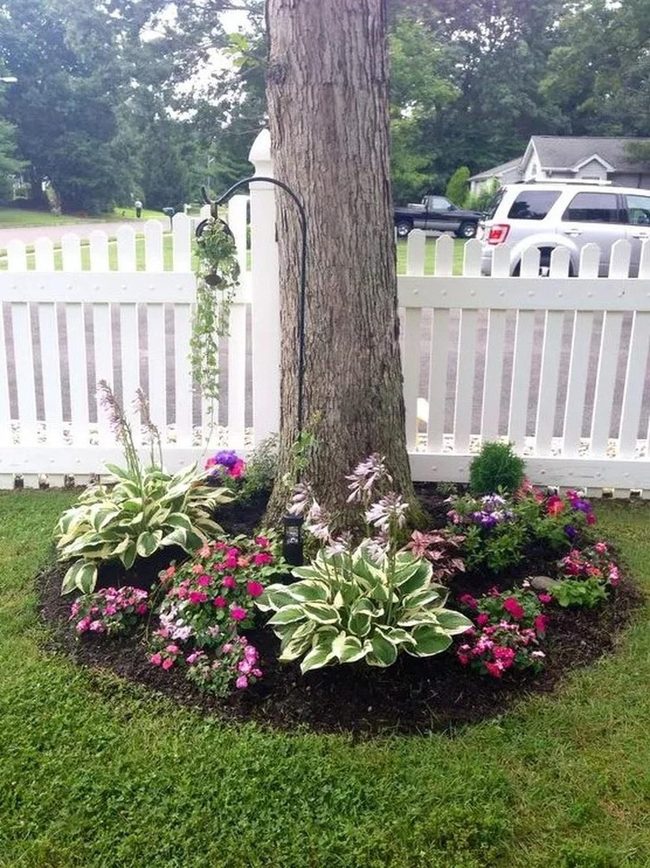 Pink And Purple Blooms Around Tree