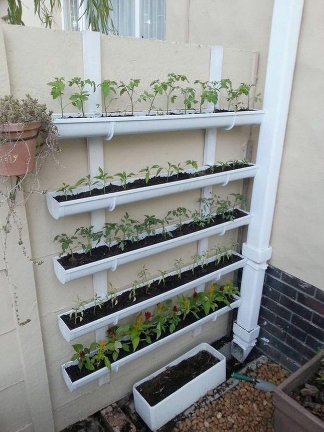 White Planters Green Vertical Growth