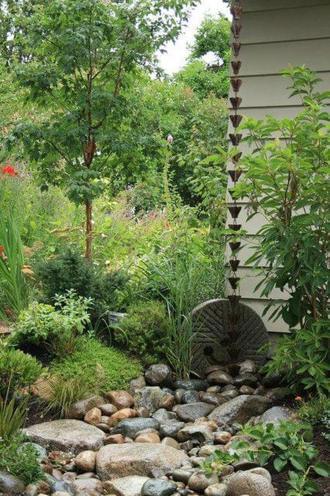 Stone Path Through Living Green
