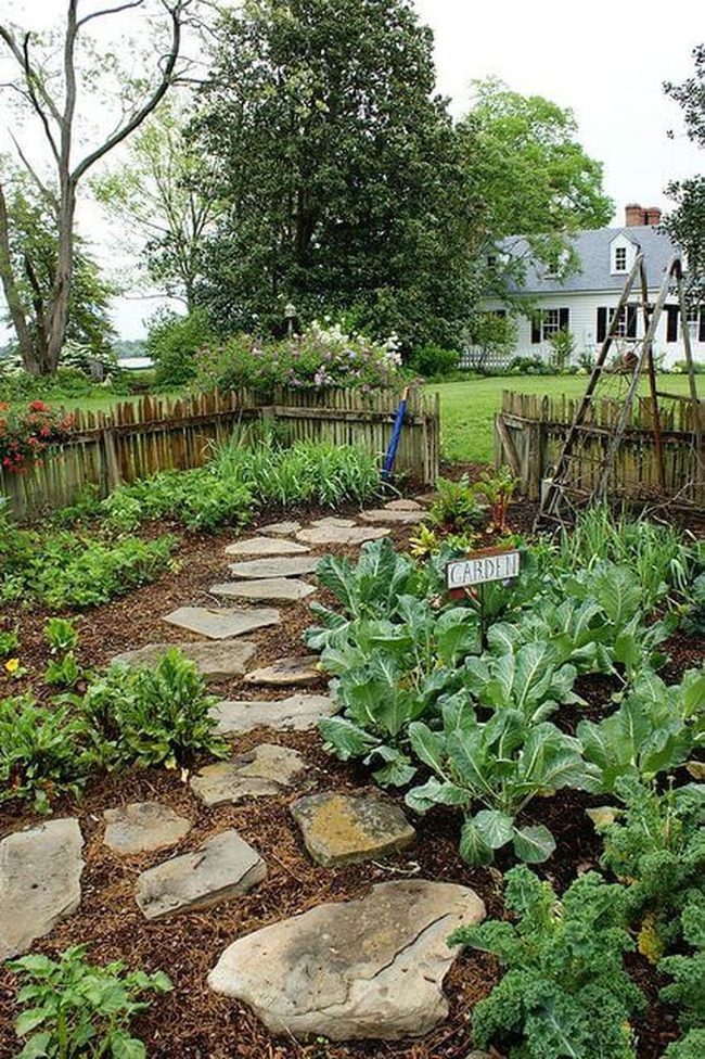 Stone Pathway Through Flowering Vegetables