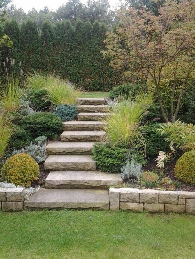 Stone Steps Through Wild Garden