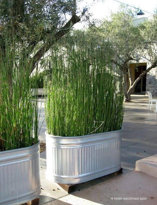 Galvanized Metal Herb Gardens