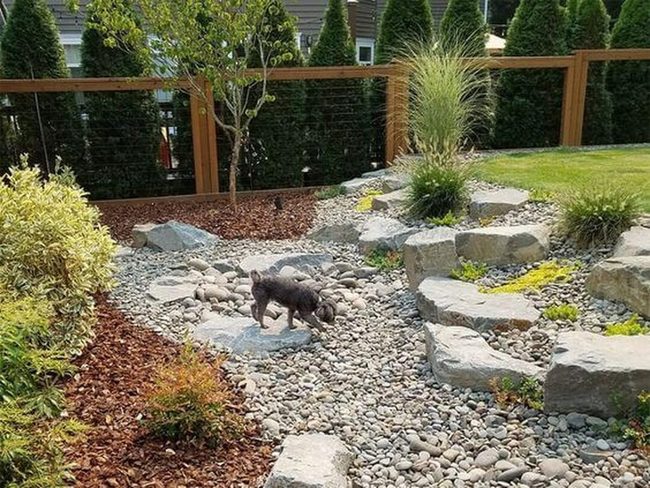Stone Pathways For Happy Pups