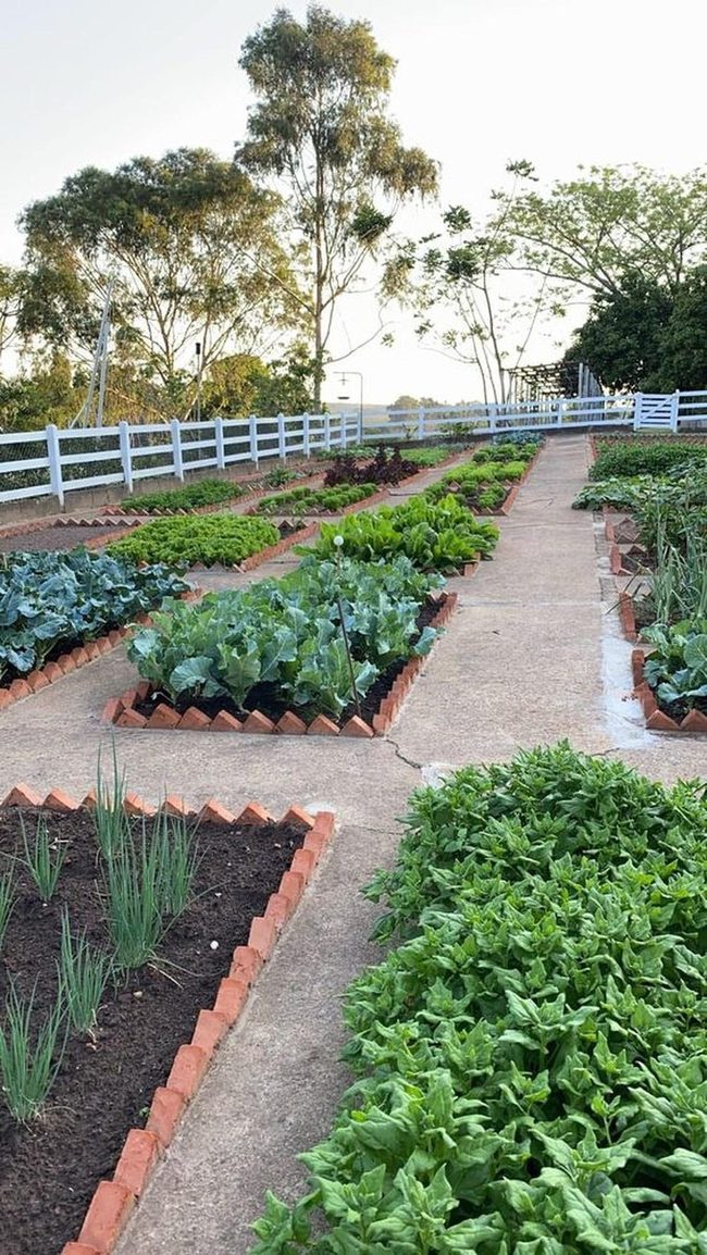 Ordered Green Beds With Red Brick Borders
