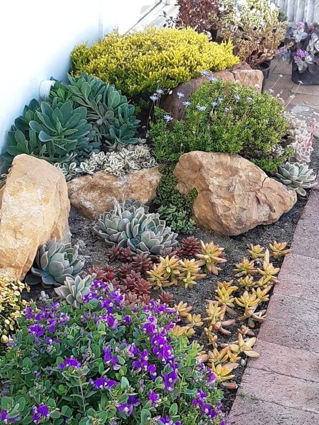 Purple Flowers Succulent Garden Design