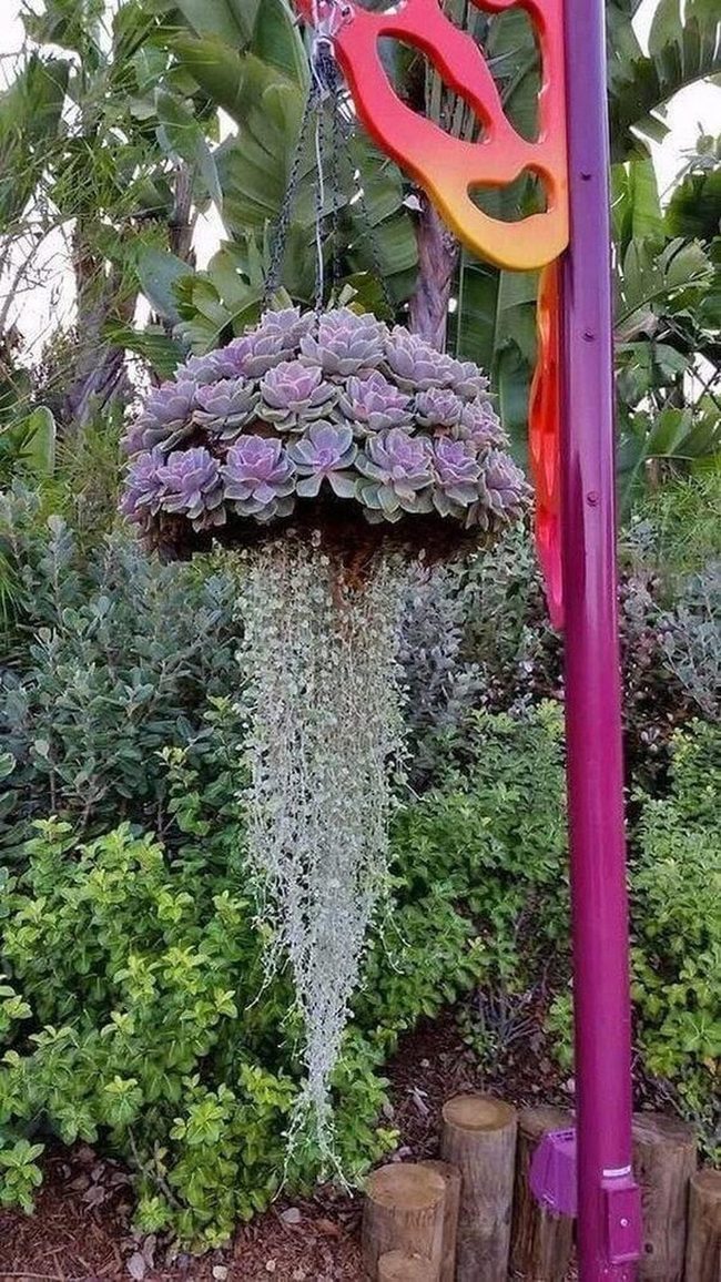 Cascading Succulents, Zero Effort Garden
