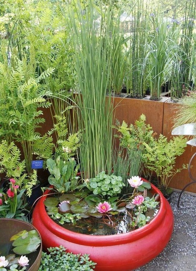 Red Pond Garden Layers