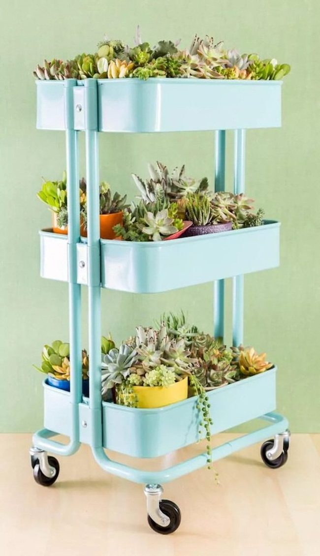 Mobile Succulent Display Cart