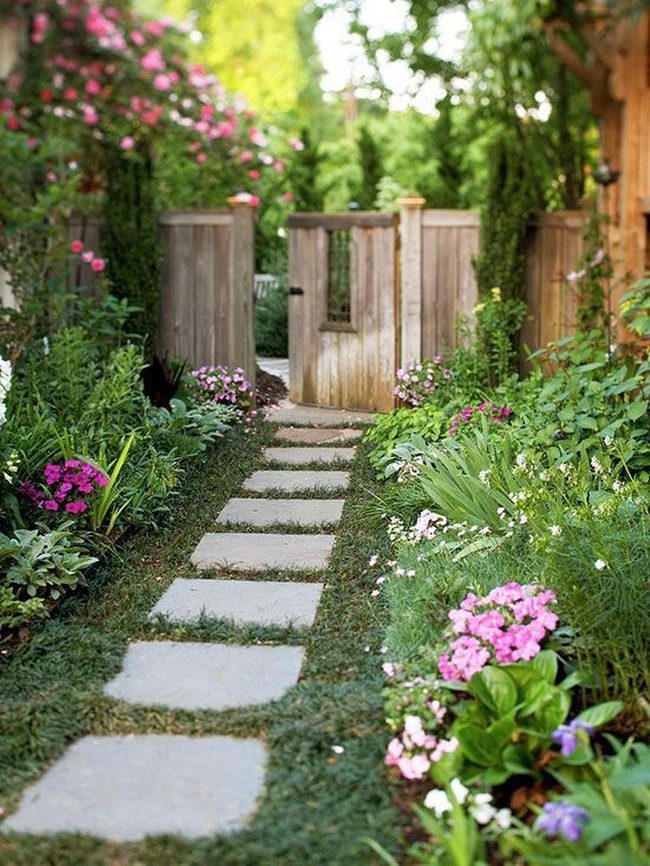 Pink Blooms Stone Path Discovery
