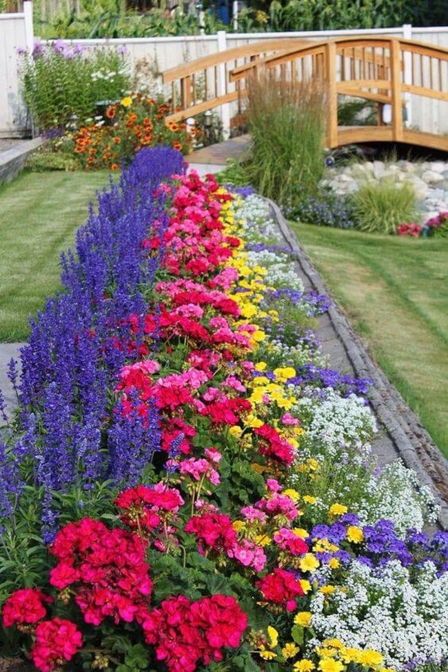Layered Flower Border Paradise