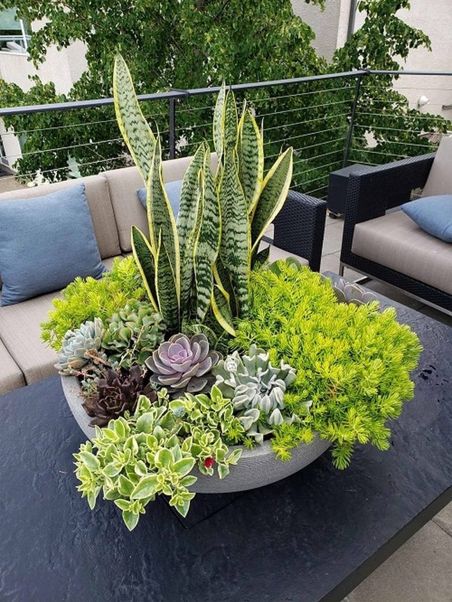 Tiered Green Containers Bold Statement