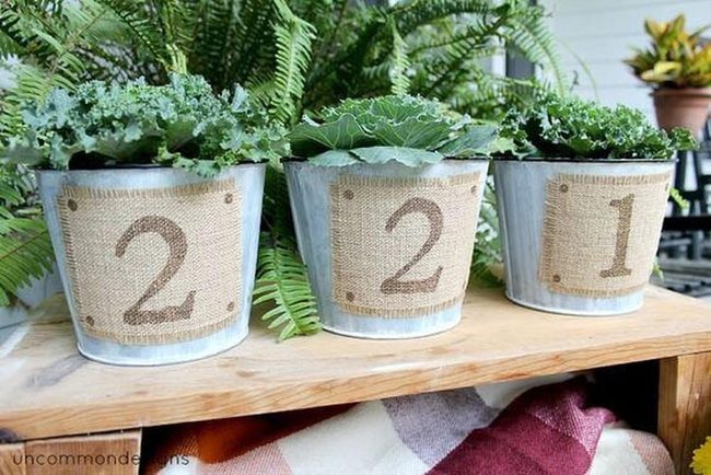 Numbered Pots Green Plants Burlap