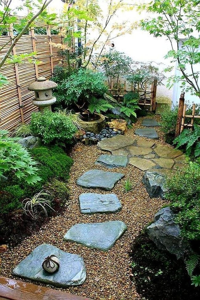 Stepping Stones Through Green Tranquility