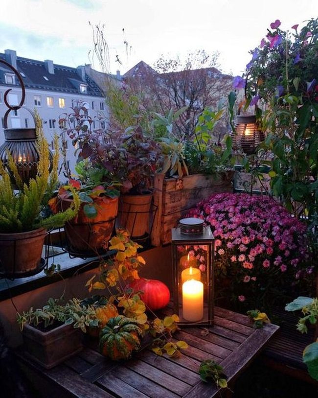 Moonlit Garden On Your Balcony