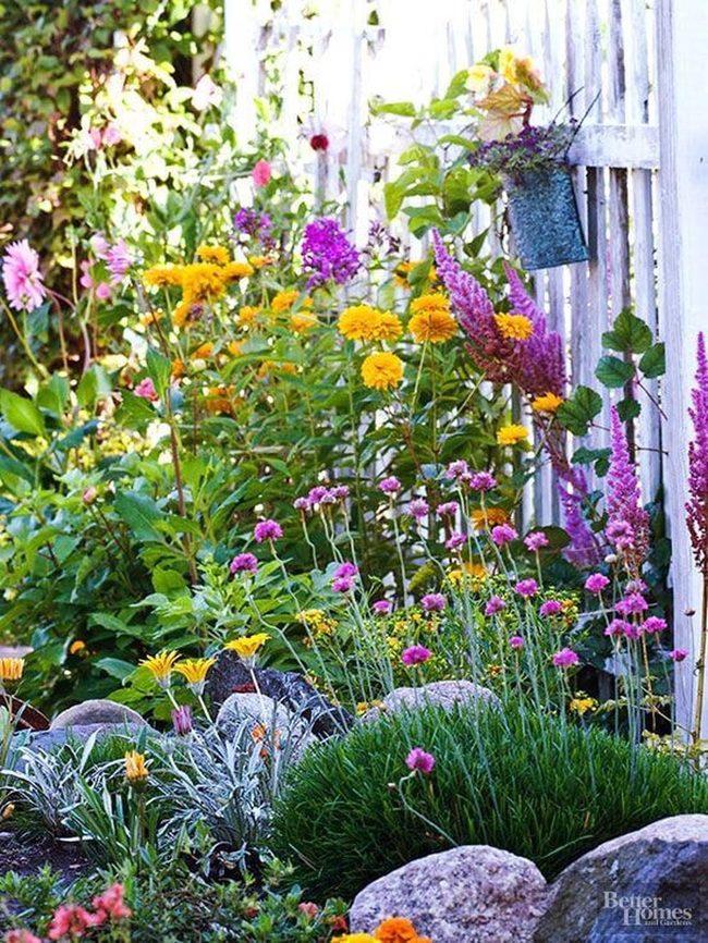 Multicolored Blooms Garden Pathways