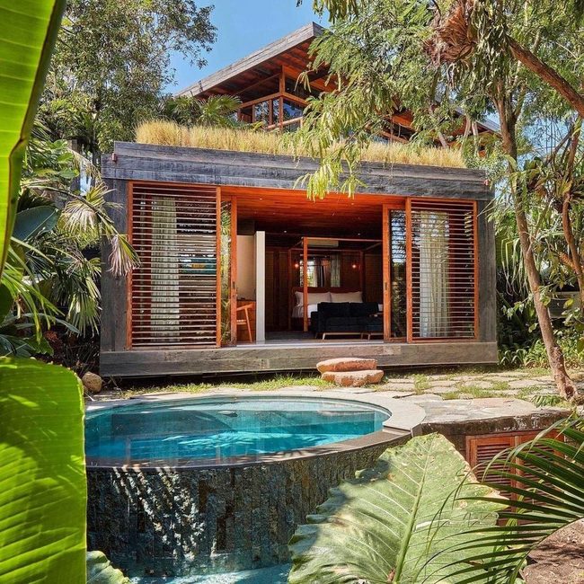 Green Roof Tropical Pool Escape